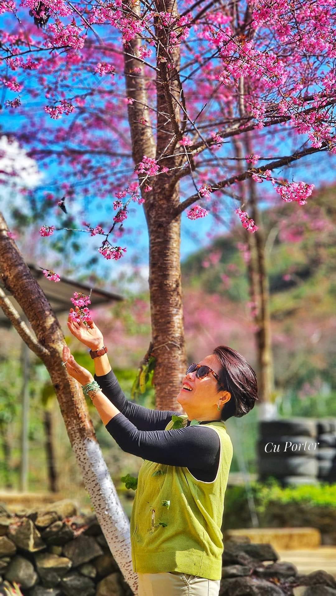 Hoa tớ dày ở Mù Cang Chải