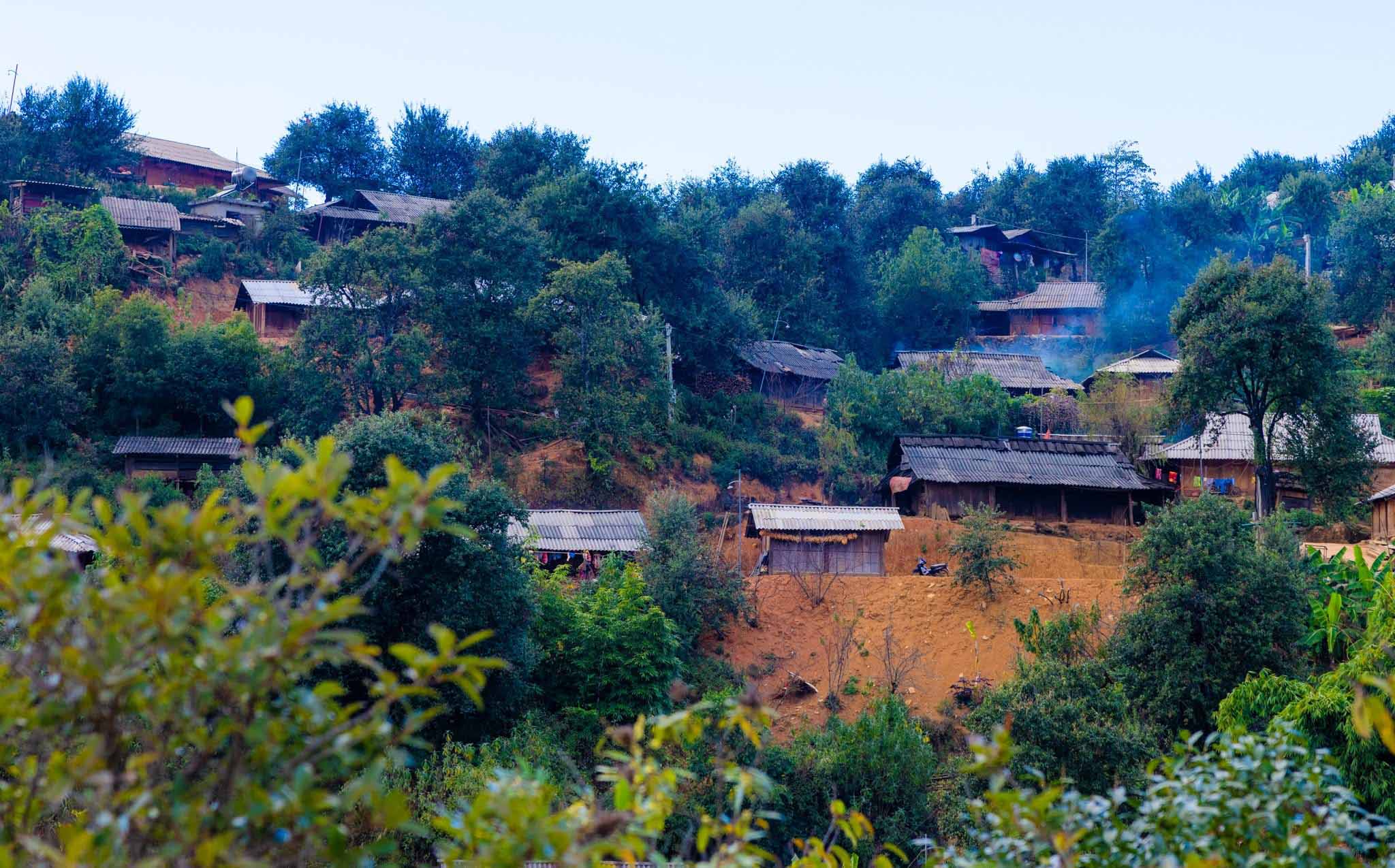nam_nghiep