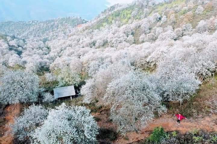 Nậm Nghẹp