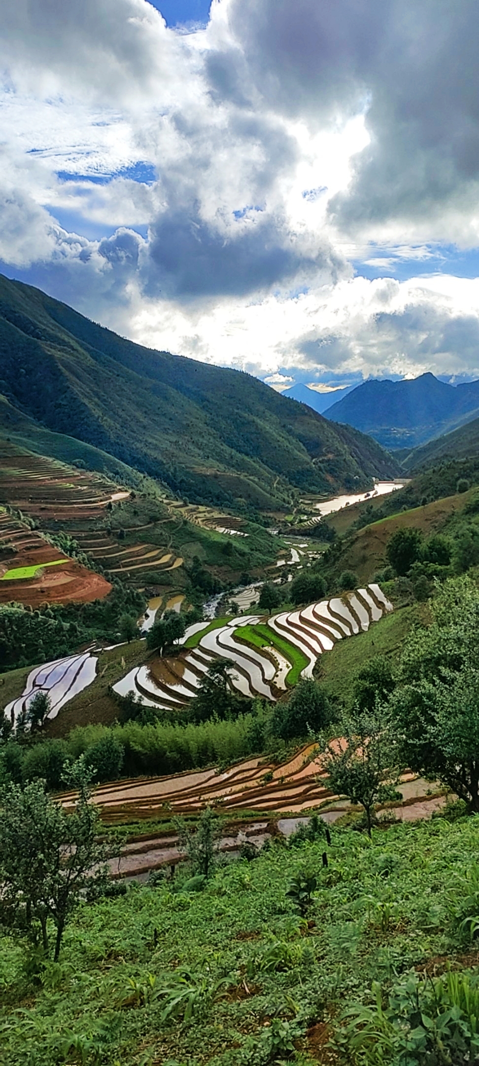 Nậm Nghiệp bước vào mùa cấy ruộng bậc thang 