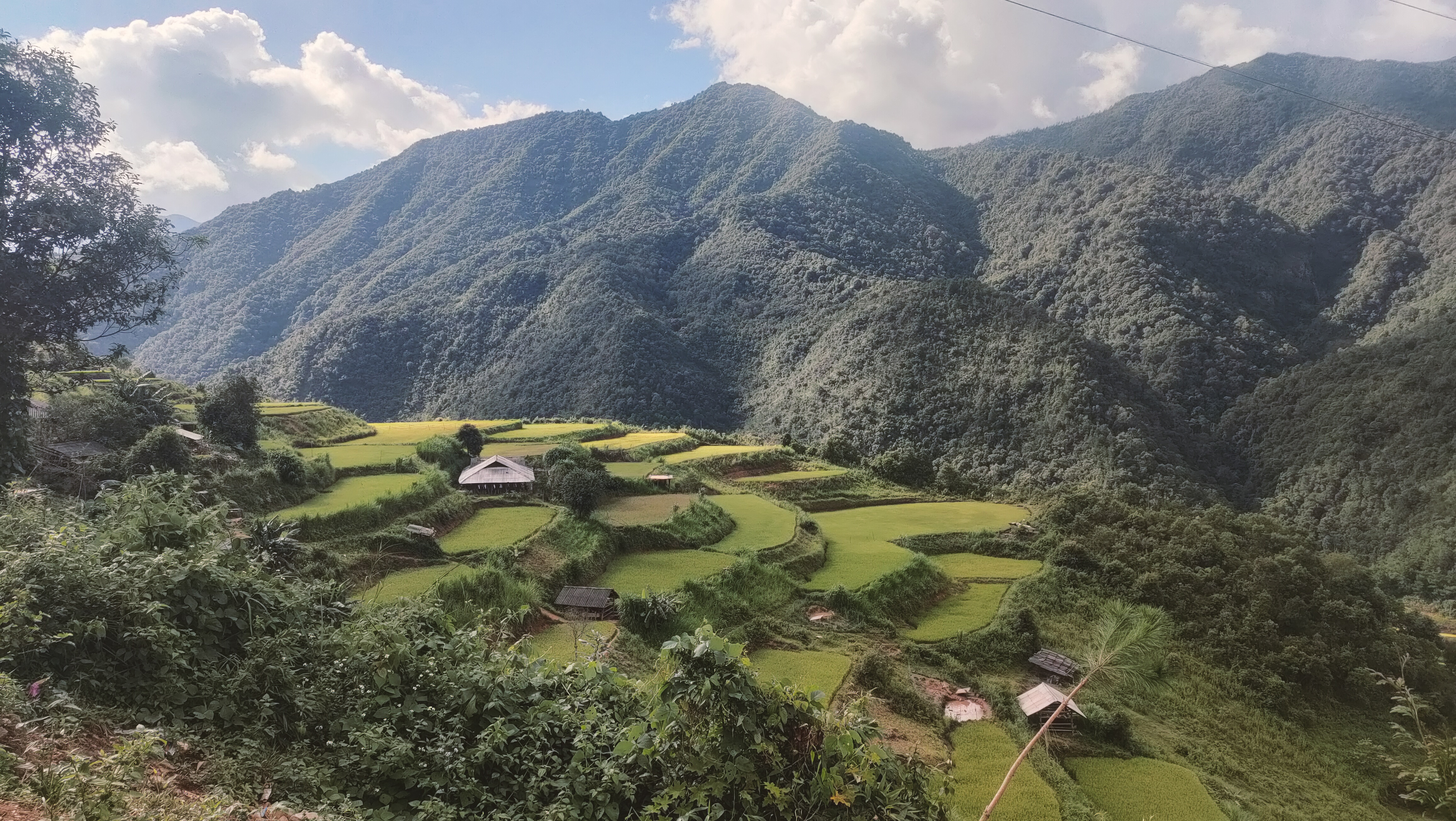 Gạo Ngọc Chiến 