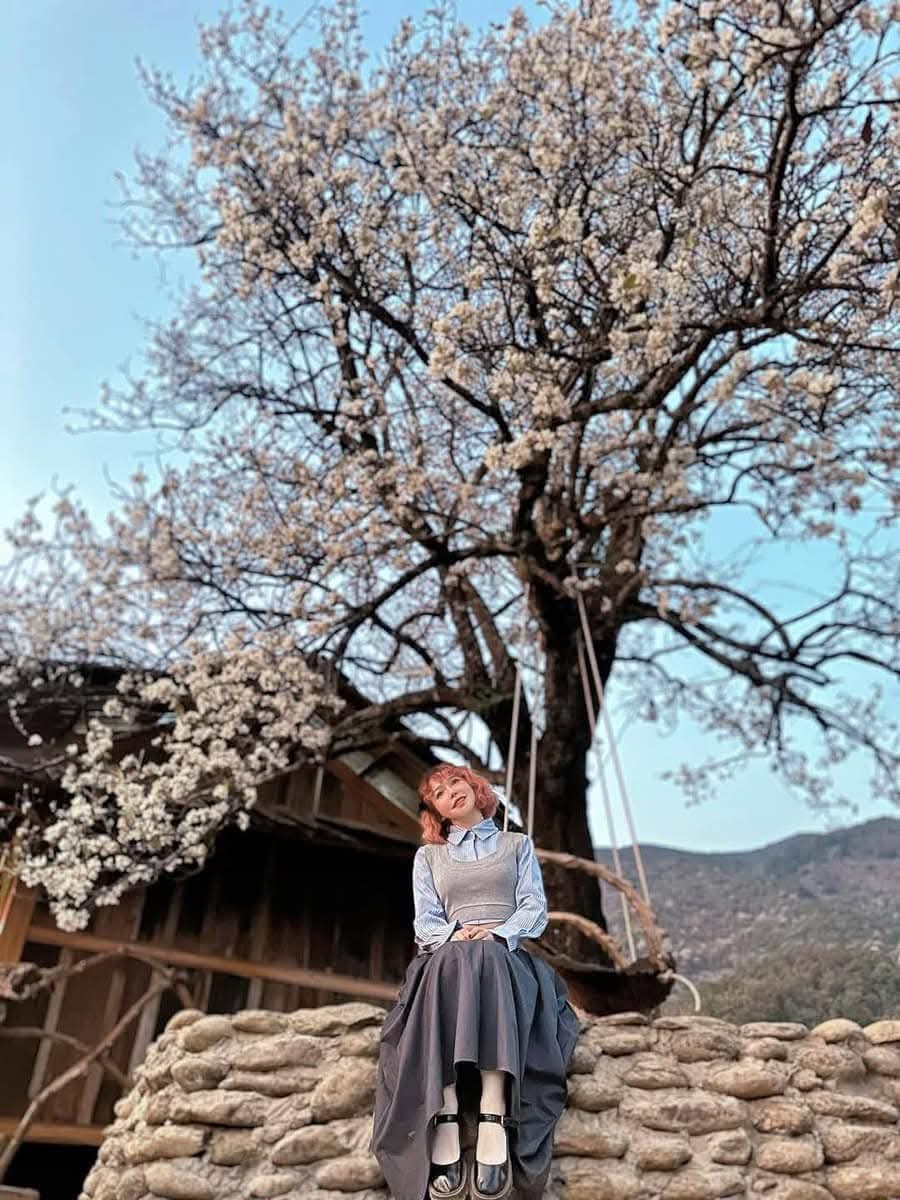 Homestay A Vạng là điểm nhấn trong mùa hoa sơn tra 