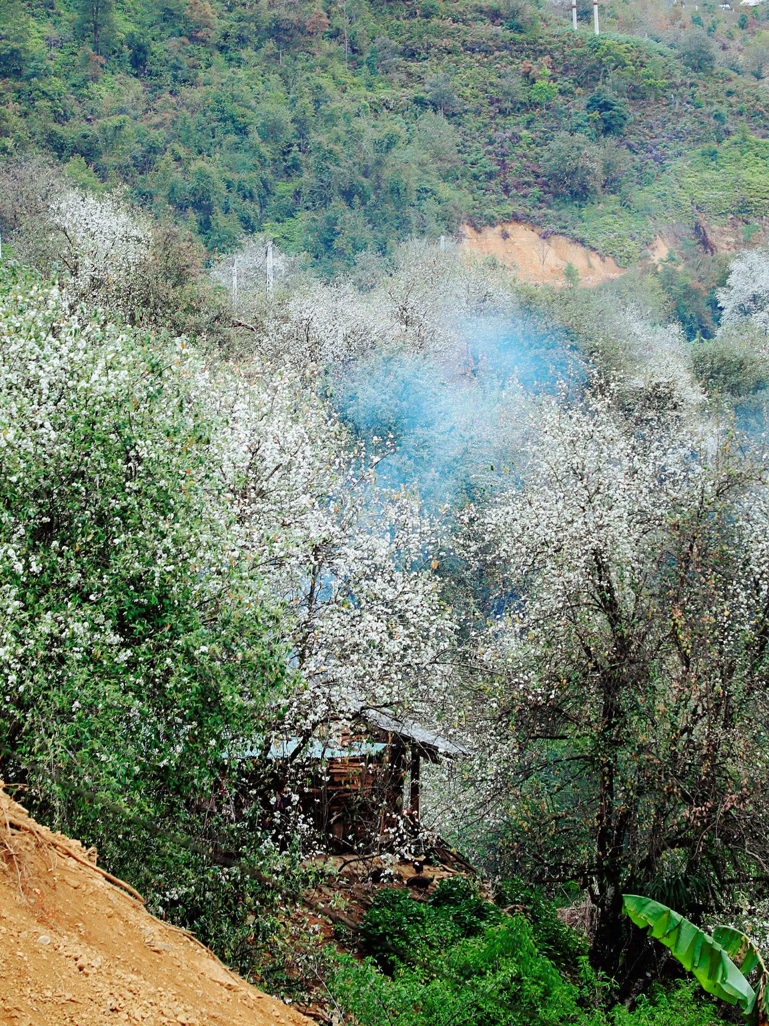 Xe đi Ngọc Chiến 