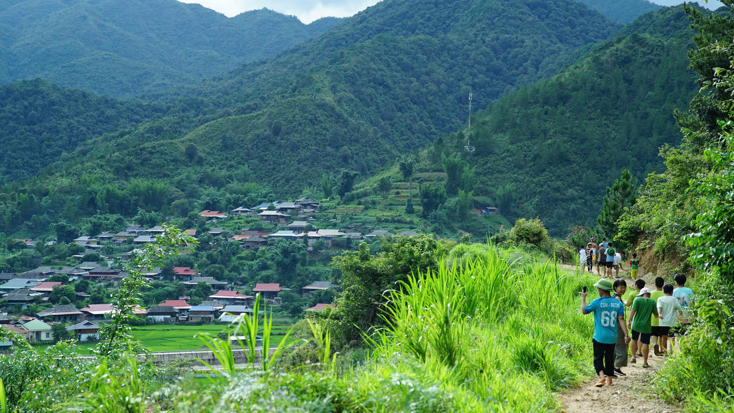 Cánh rừng bản Lướt 