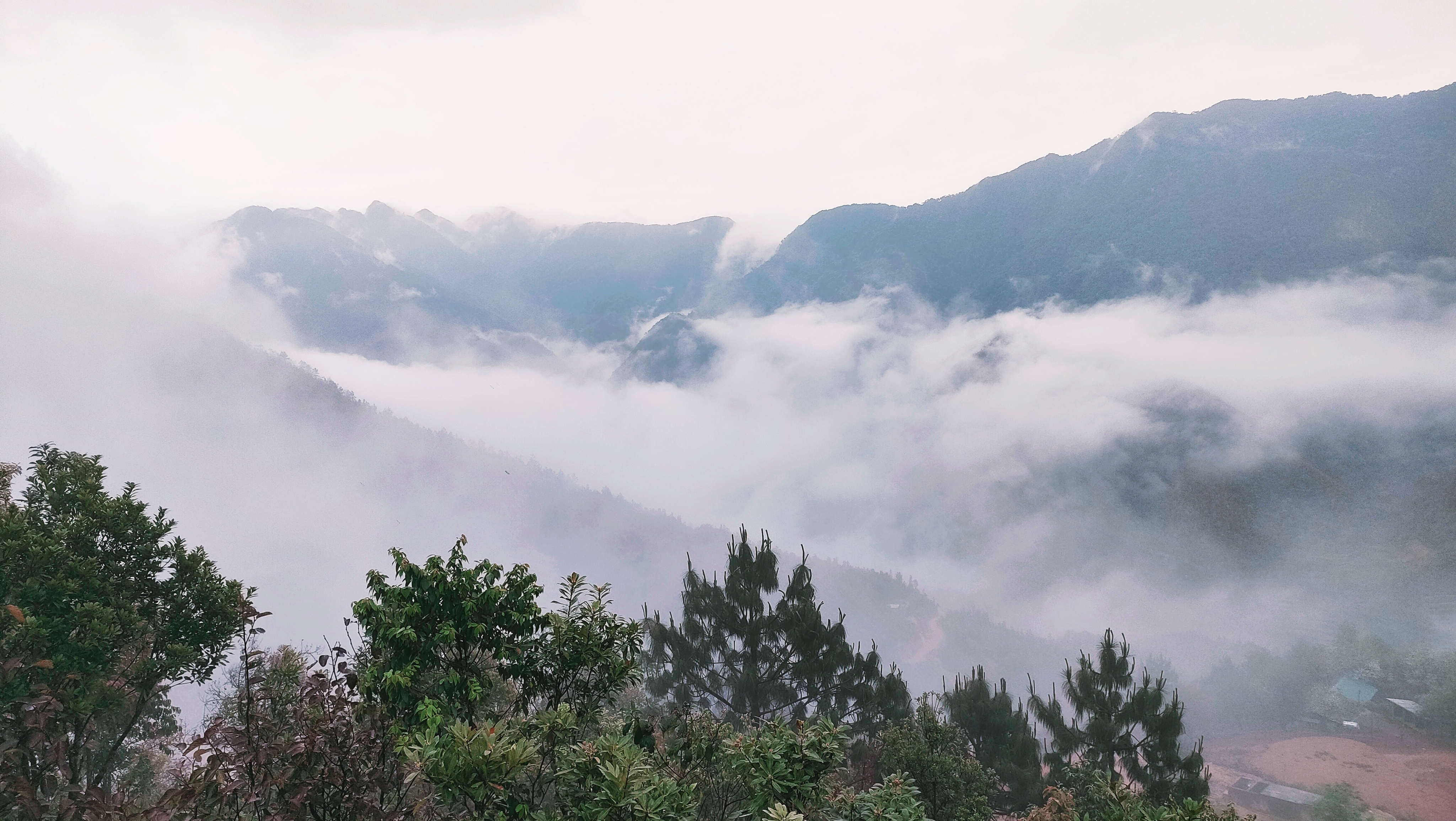 Săn mây ở bản Nậm Nghẹp