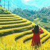 5 địa danh du lịch ở Mường La