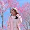Săn ảnh băng tuyết và hoa mai anh đào ở Tây Bắc