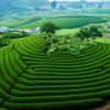 Giới thiệu Sơn La