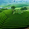 Giới thiệu Sơn La
