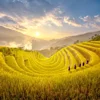 Du lịch Tây Bắc