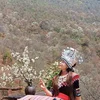 Vị trí địa lý của bản Nậm Nghiệp, xã Ngọc Chiến, huyện Mường La