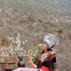 Vị trí địa lý của bản Nậm Nghiệp, xã Ngọc Chiến, huyện Mường La