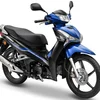 Đi lên bản Nậm Nghiệp bằng phương tiện gì ?