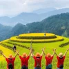 Tua du lịch bản địa (local tour) ở Ngọc Chiến