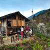The Lover Hill Cafe - quán cafe mộng mơ trên đỉnh Nậm Nghiệp