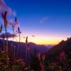 Bản Nậm Nghiệp dưới ánh chiều tà