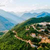 Thông cáo báo chí về việc tổ chức Trại Sáng tác với chủ đề "Lạc trôi dưới rừng Sơn tra"
