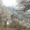 HTX Nậm Nghẹp khám phá 18 sản phẩm dịch vụ tour bản địa