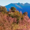 Tour 3N2D Hà Nội - Phình Hồ - Nậm Nghẹp