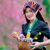 Xe Bus Tình Yêu: Hành trình khám phá miền Tây Bắc