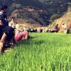 Nậm Nghiệp: Tài nguyên nước