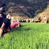Nậm Nghiệp: Tài nguyên nước