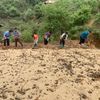 Nậm Nghiệp làm lại “cuộc chơi” với cây đẳng sâm: Từ cạn kiệt tự nhiên đến hướng đi bền vững