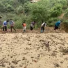 Nậm Nghiệp làm lại “cuộc chơi” với cây đẳng sâm: Từ cạn kiệt tự nhiên đến hướng đi bền vững