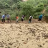 Nậm Nghiệp làm lại “cuộc chơi” với cây đẳng sâm: Từ cạn kiệt tự nhiên đến hướng đi bền vững