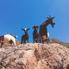 Miền Bắc mùa trekking: Khi rừng núi gọi tên – Tà Chì Nhù, Tà Tao và hành trình chạm vào vẻ đẹp nguyên sơ