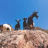Miền Bắc mùa trekking: Khi rừng núi gọi tên – Tà Chì Nhù, Tà Tao và hành trình chạm vào vẻ đẹp nguyên sơ