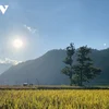 Ngọc Chiến: mùa vàng tháng 9 cũng là mùa khởi động các lễ hội đặc sắc