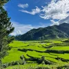 Xe Bus Tình Yêu tháng 9 tuyển thành viên