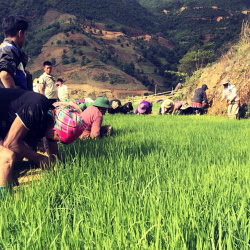 Tài nguyên nước ở Nậm Nghẹp