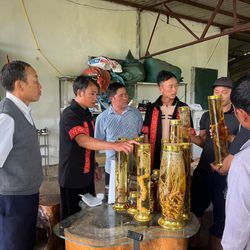 HTX Nậm Nghẹp tham quan học tập tại Lai Châu: Học làm du lịch cộng đồng và trồng sâm để làm giàu cho bản