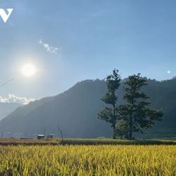 Ngọc Chiến: mùa vàng tháng 9 cũng là mùa khởi động các lễ hội đặc sắc