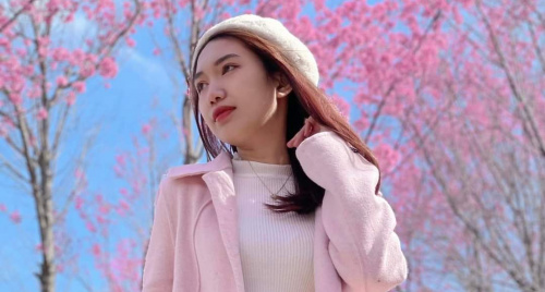 Săn ảnh băng tuyết và hoa mai anh đào ở Tây Bắc