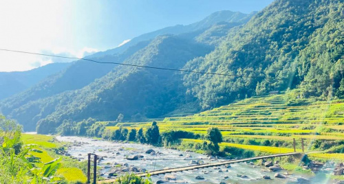 Tuyển thành viên Xe Bus Tình Yêu tháng 2/2025