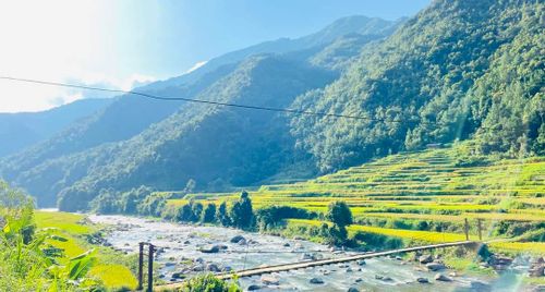 Tuyển thành viên Xe Bus Tình Yêu tháng 2/2025