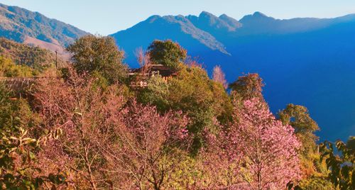 Tour 3N2D Hà Nội - Phình Hồ - Nậm Nghẹp