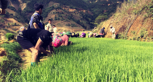 Tài nguyên nước ở Nậm Nghẹp