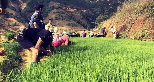 Nậm Nghiệp: Tài nguyên nước