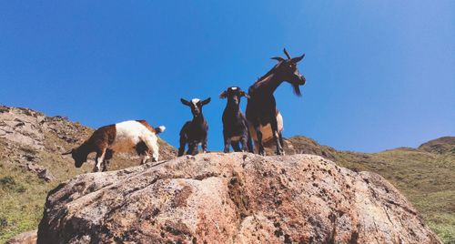 Miền Bắc mùa trekking: Khi rừng núi gọi tên – Tà Chì Nhù, Tà Tao và hành trình chạm vào vẻ đẹp nguyên sơ