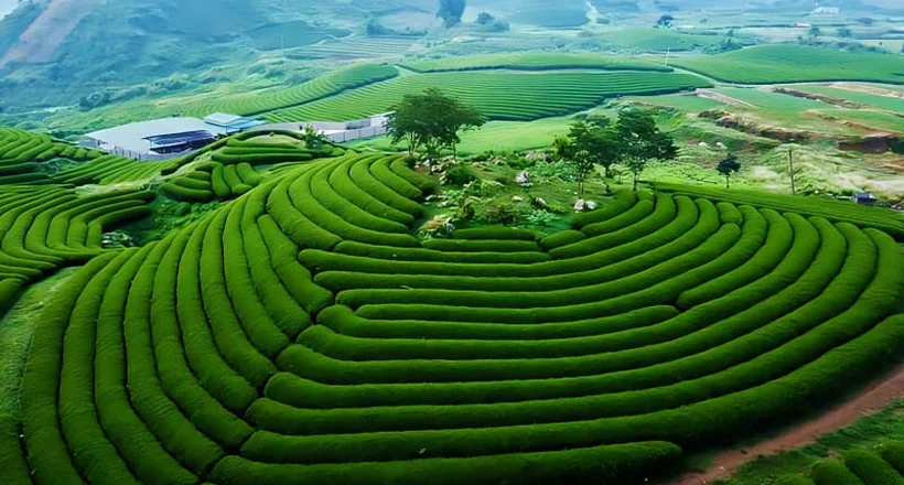 Giới thiệu Sơn La