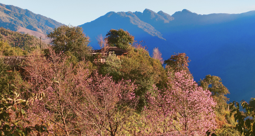 Tour 3N2D Hà Nội - Phình Hồ - Nậm Nghẹp