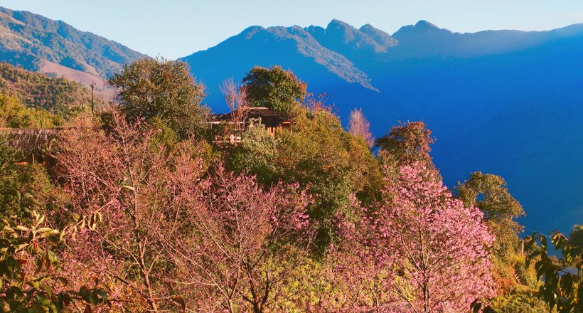 Tour 3N2D Hà Nội - Phình Hồ - Nậm Nghẹp