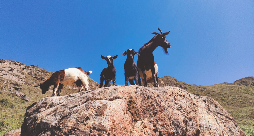 Miền Bắc mùa trekking: Khi rừng núi gọi tên – Tà Chì Nhù, Tà Tao và hành trình chạm vào vẻ đẹp nguyên sơ