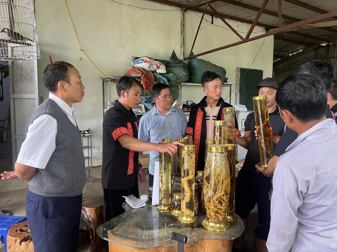 Nậm Nghẹp tung sản phẩm ủ rượu táo ở độ cao hơn 2000 mét