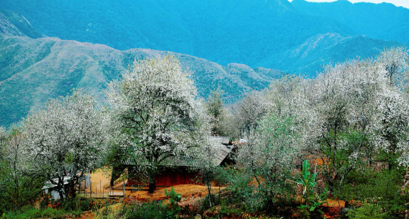 Hỗ trợ thông tin xe tuyến Hà Nội đi Ngã Ba Kim, Ngọc Chiến