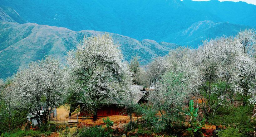 Hỗ trợ thông tin xe tuyến Hà Nội đi Ngã Ba Kim, Ngọc Chiến